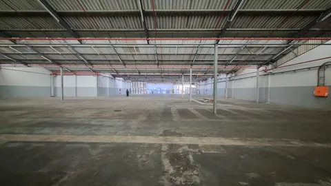 WhatsApp Image 2026-02-25 at 10.33.58 (3).